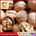 Nutrient-Rich Chinese New Crop Walnut Kernels